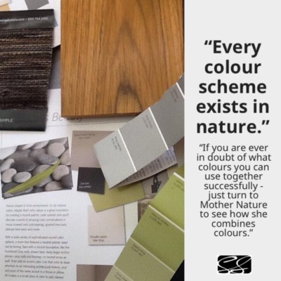 22DesignBi Every Color Scheme Exists In Nature